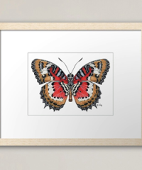 Natasha Lay Fine Art