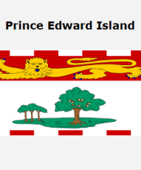 Kro in the Skye Art Studio