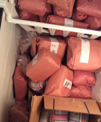 Silver Stream Bison Farm