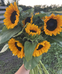 Three Sixteen Flower Co