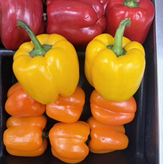 Footes Farm Market