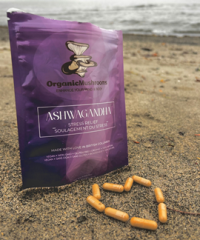 Organic Mushrooms