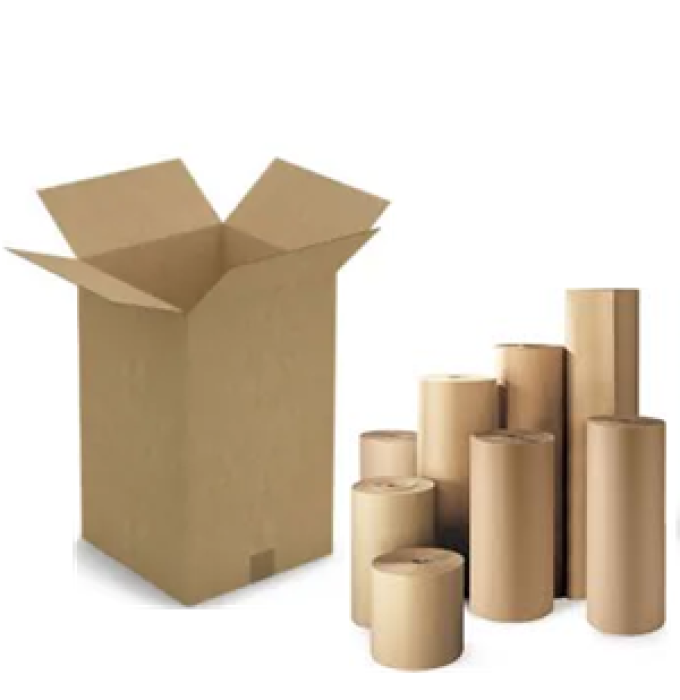 Colt Paper