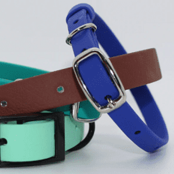 Dog Products Canada