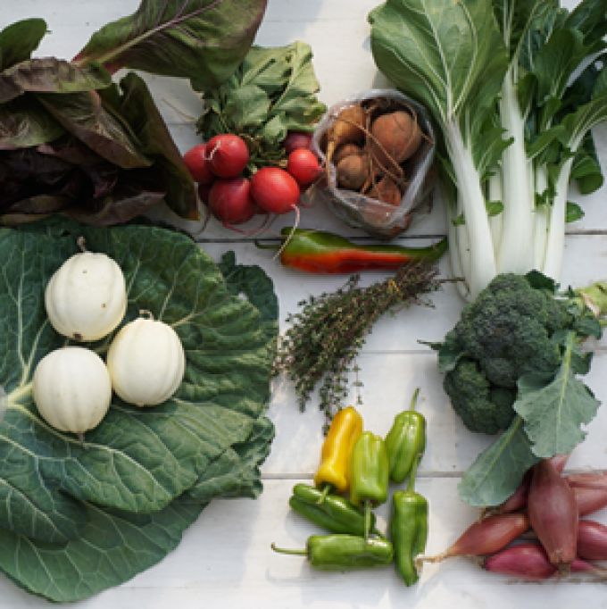 Hinterland Growers