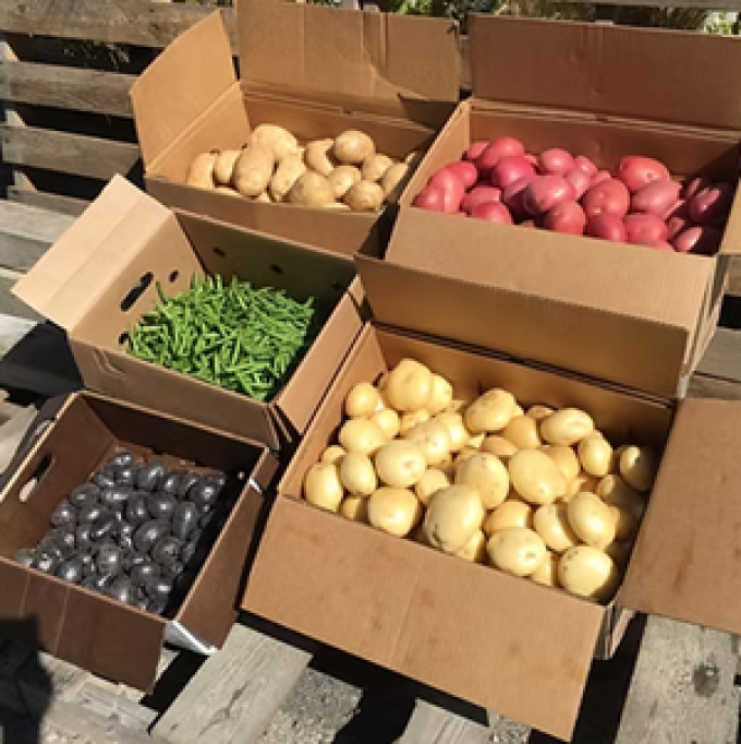 Fraserland Organics