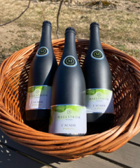 Maelström Winery