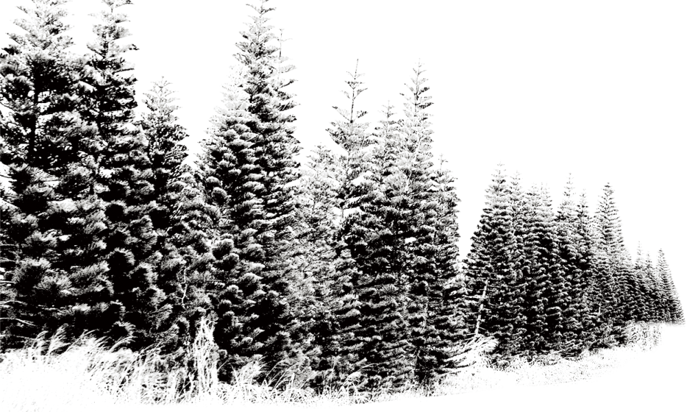 Snow in Canada