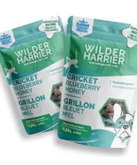 Wilder Harrier