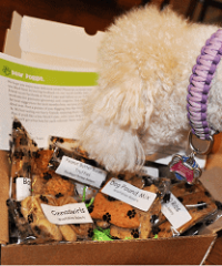 Woof Crate