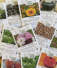 Three Forks Seeds