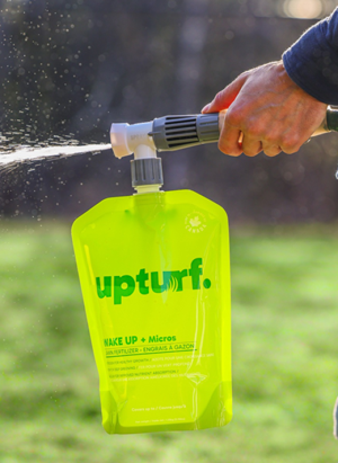 upturf