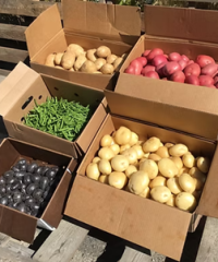 Fraserland Organics
