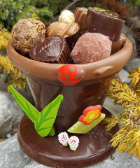 Le Chocolatier
