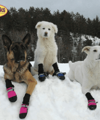 Muttluks