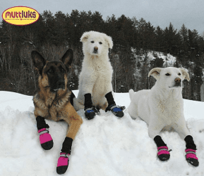 Muttluks