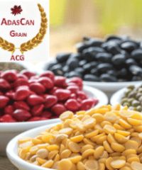 AdasCan Grain Corporation