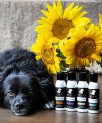 Beau Canine Essentials