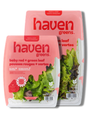 Haven Greens