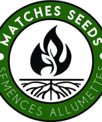 Matches Seeds