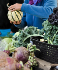 Saint-Sauveur Market