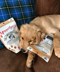 Yappetizers Treat Company