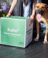 Kabo